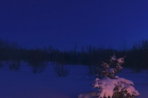 天津大港分局推進(jìn)打擊違法寄遞煙草專賣品協(xié)作機(jī)制