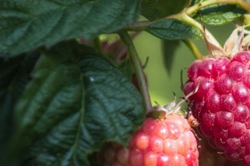 世界上特別著名的懸崖排行榜2025年排名前十名榜單出爐 世界上特別著名的懸崖排行榜2025年排名前十名榜單出爐