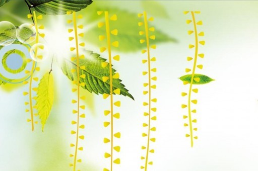 十大一體式灶具品牌排行榜2025近期排名前十名分析 十大一體式灶具品牌排行榜2025近期排名前十名分析