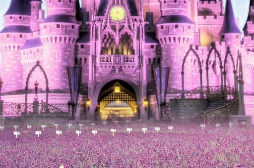 2024年廣西大學在山西計劃招生人數（附學費及專業錄取分)