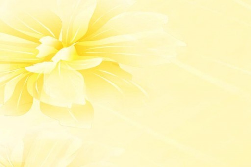 世界上特別粘人的五種貓2025年排名前十名榜單出爐 世界上特別粘人的五種貓2025年排名前十名榜單出爐