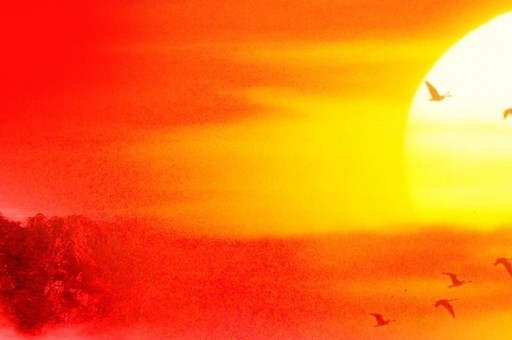 羅大佑特別經(jīng)典的十首歌2025年排名前十名榜單出爐