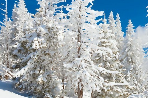 古巴雪茄煙庫阿巴所羅門好抽嗎 品味知新庫阿巴所羅門 古巴雪茄煙庫阿巴所羅門好抽嗎 品味知新庫阿巴所羅門