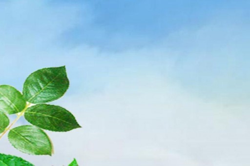 貴煙系列銷量最好的煙推薦2020