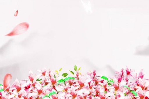 內(nèi)蒙古師范大學(xué)近三年在四川錄取分?jǐn)?shù)線(含2021-2023最低分)