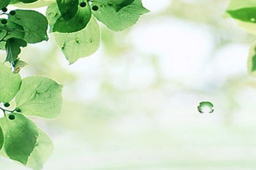 泰山細支香煙介紹 好抽的細支香煙評測