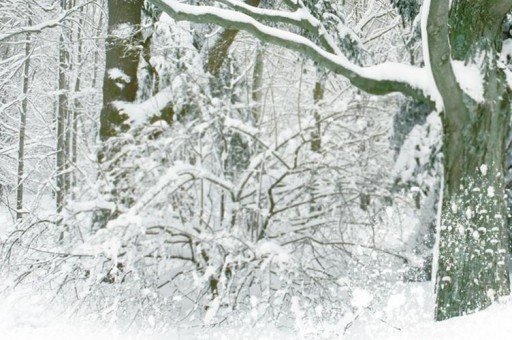 中國大學情懷排行榜30強2025特別新排名前十名分析 中國大學情懷排行榜30強2025特別新排名前十名分析