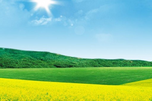 江蘇第二師范學院近三年在四川錄取分數線(含2021-2023最低分)