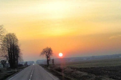 2024年山東工商學院在青海計劃招生人數(附學費及專業錄取分) 2024年山東工商學院在青海計劃招生人數(附學費及專業錄取分)