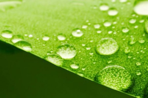 世界上犯罪率最高國家排行2022最新排名前十名對比