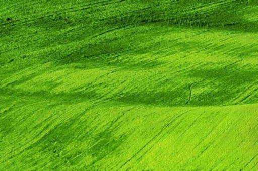 朋友英語怎么寫 如何用英語表達朋友 朋友英語怎么寫 如何用英語表達朋友