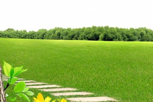 中南海香煙最好抽的是哪一款 中南海香煙口感好的推薦 中南海香煙最好抽的是哪一款 中南海香煙口感好的推薦