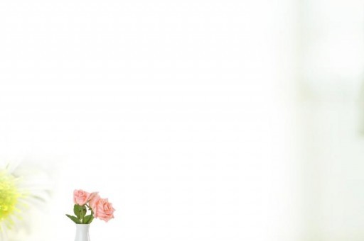 百色學院最厲害的專業-2024百色學院最好專業