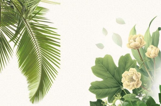 十大知名電動自行車品牌2025年排名前十名榜單出爐 十大知名電動自行車品牌2025年排名前十名榜單出爐