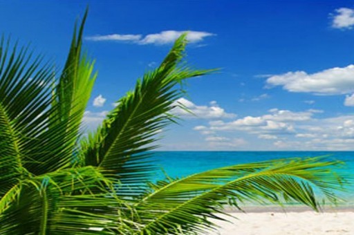 世界上海拔特別高的國家排名2025年排名前十名榜單出爐