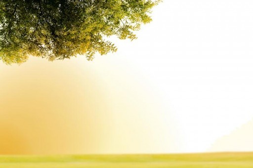 中國好聲音十大導師排行榜2025年排名前十名榜單出爐 中國好聲音十大導師排行榜2025年排名前十名榜單出爐