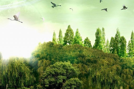 遼寧考生多少分能上西安海棠職業學院？2025最低225分