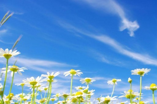 官方通報干部疑出軌在妻死后失聯(lián) 案件詳情揭秘！