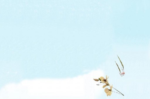 2020十大商業女強人2025年排名前十名榜單出爐