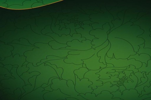 世界上特別大的8大陸龜排名2025年排名前十名榜單出爐