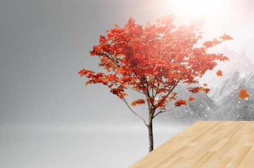 國賓硬紅香煙好抽嗎 國賓硬紅香煙口感測評