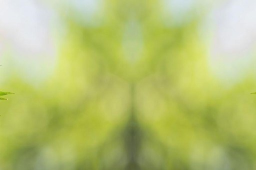 廣州十大高檔茶館2025年排行榜前十名榜單出爐