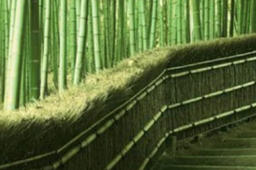 2024山東醫(yī)學(xué)高等專科學(xué)校錄取分?jǐn)?shù)線:浙江最低534分 2024山東醫(yī)學(xué)高等專科學(xué)校錄取分?jǐn)?shù)線:浙江最低534分