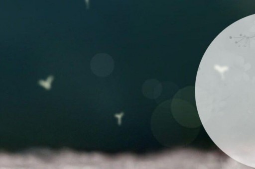 十首關于春天的經典古詩詞2025年排行榜前十名榜單出爐 十首關于春天的經典古詩詞2025年排行榜前十名榜單出爐