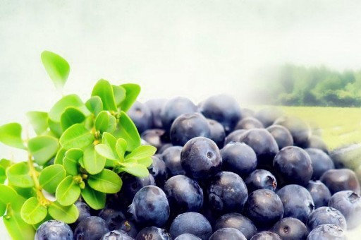 德陽著名地理標志保護產品2025年排行榜前十名榜單出爐