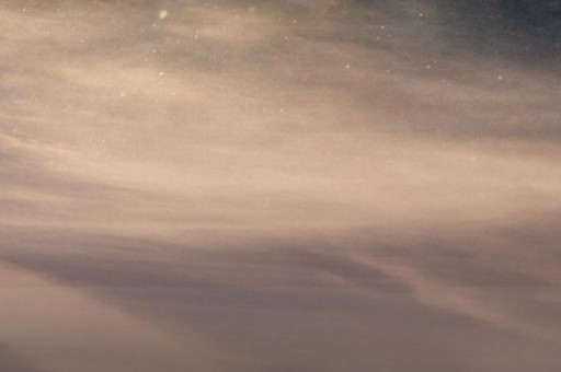 好萊塢明星出場費排行榜2025特別新排名前十名分析