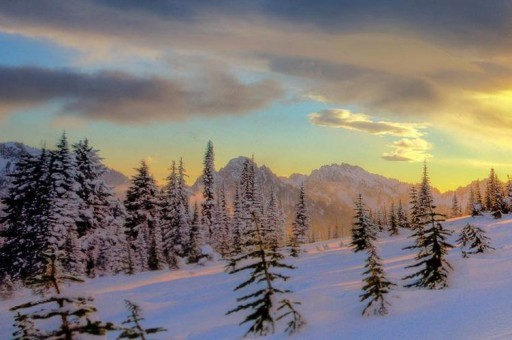 超級(jí)細(xì)菌龍頭股排行榜2025年排名前十名榜單出爐 超級(jí)細(xì)菌龍頭股排行榜2025年排名前十名榜單出爐