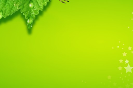 天然葛根粉十大品牌排行榜2025近期排名前十名分析 天然葛根粉十大品牌排行榜2025近期排名前十名分析