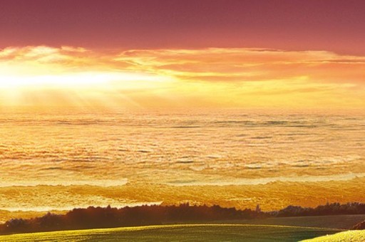 黃金葉樂途怎么樣 黃金葉樂途為什么限量