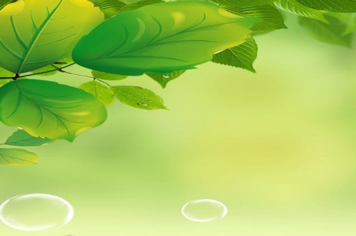 金華十大公園廣場排行榜2025年排名前十名榜單出爐 金華十大公園廣場排行榜2025年排名前十名榜單出爐