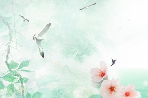 嬰兒羊奶粉排行榜10強2025近期排名前十名分析