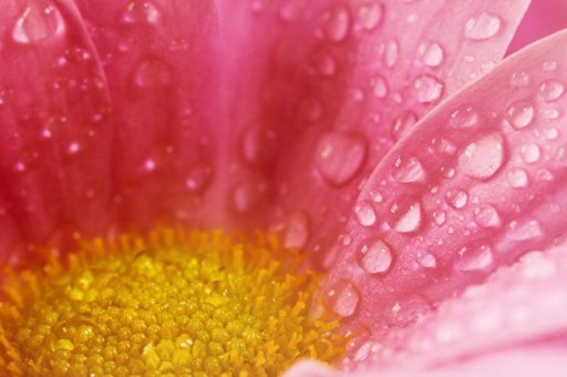 2024河南科技學院錄取分數線及位次一覽：重慶考生2025填報參考