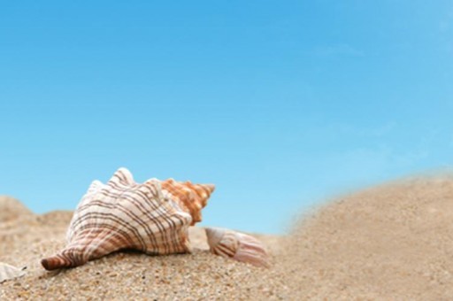 利群軟陽光好抽嗎 利群軟陽光口感及包裝詳情