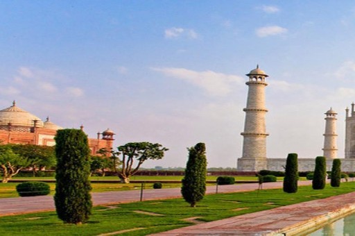 女子針灸電療癱瘓2025近期排名前十名分析