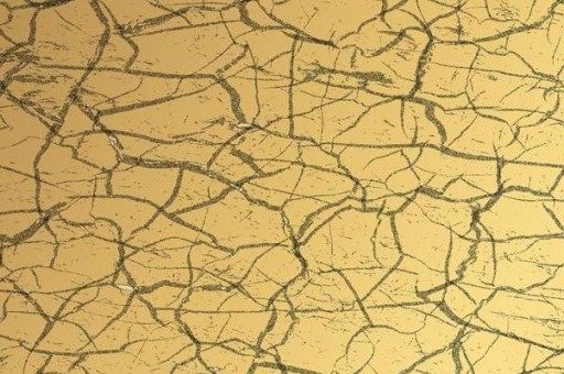 濟(jì)南十大賞荷花好去處2025年排行榜前十名榜單出爐 濟(jì)南十大賞荷花好去處2025年排行榜前十名榜單出爐