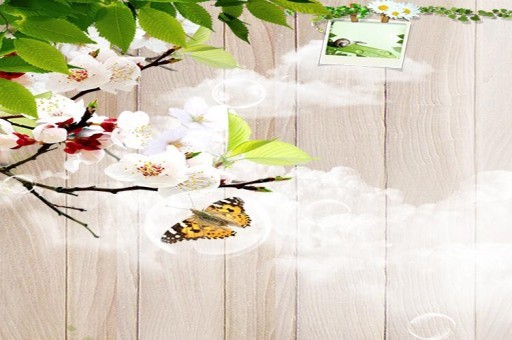 拉薩最美的十大公園2025年排行榜前十名榜單出爐 拉薩最美的十大公園2025年排行榜前十名榜單出爐