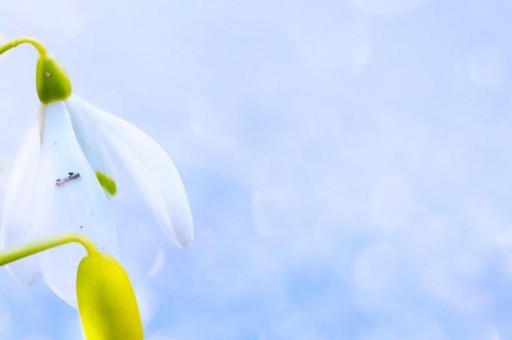 十大好吃的湖北菜家常菜2025年排行榜前十名榜單出爐 十大好吃的湖北菜家常菜2025年排行榜前十名榜單出爐