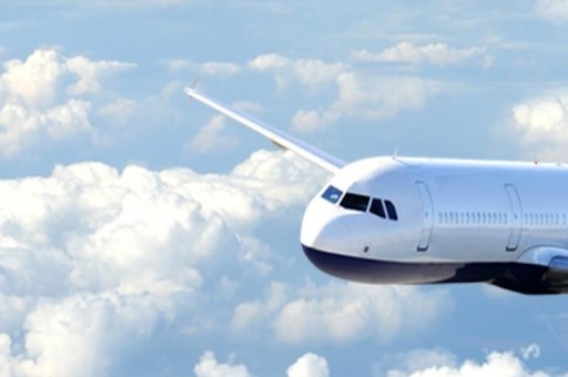 適合小孩養的十大寵物2025年排行榜前十名榜單出爐 適合小孩養的十大寵物2025年排行榜前十名榜單出爐