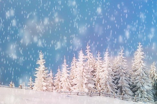 秦皇島適合看雪的地方2025年排行榜前十名榜單出爐 秦皇島適合看雪的地方2025年排行榜前十名榜單出爐