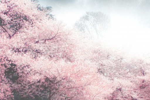 中國十大最美的花園2025年排行榜前十名榜單出爐