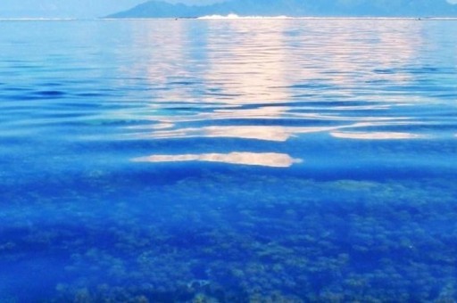 上海國慶旅游必去的地方2025年排行榜前十名榜單出爐