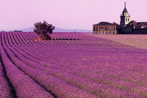 老上海十大代表性建筑2025年排行榜前十名榜單出爐