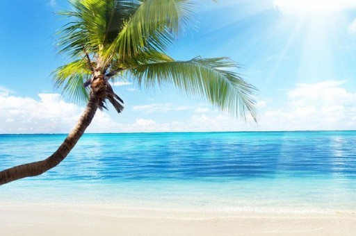 澳門十大七夕旅游景點(diǎn)2025年排行榜前十名榜單出爐