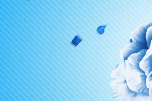 10大雌性激素多的食物2025年排行榜前十名榜單出爐