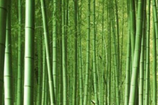 惠州十大著名寺廟2025年排行榜前十名榜單出爐 惠州十大著名寺廟2025年排行榜前十名榜單出爐