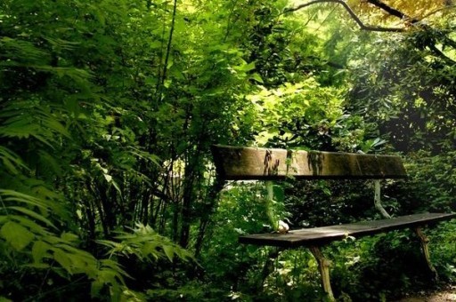 陜西十大暑假旅游好去處2025年排行榜前十名榜單出爐